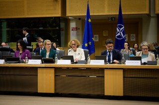 NATO Deputy Secretary General attends the NAC-PSC