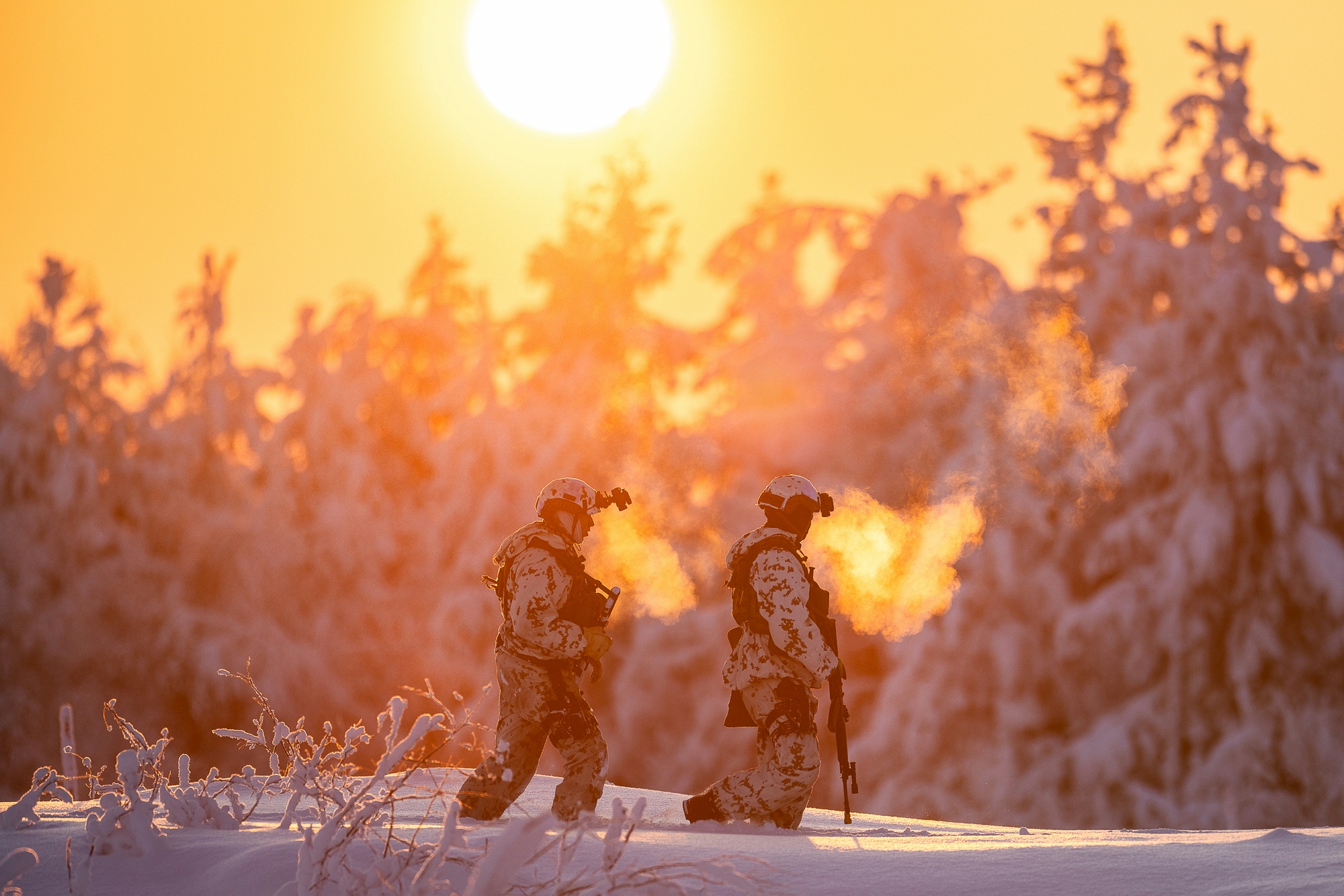 NATO flag and 32 national flags aloft. Brussels, Belgium