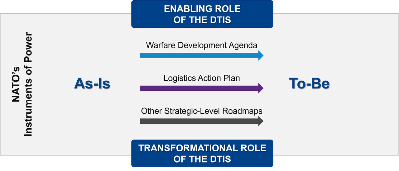 Figure 1. The Dual Role of the DTIS